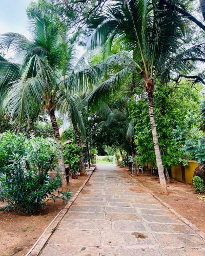 WhatsApp Image 2025-07-22 at 1.42.30 PM